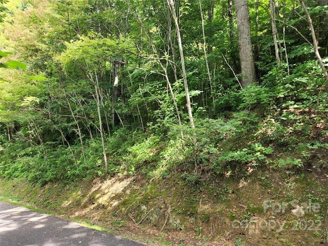 Listing photo 3 for 00 Heavenview Pt Unit 120, Maggie Valley NC 28751