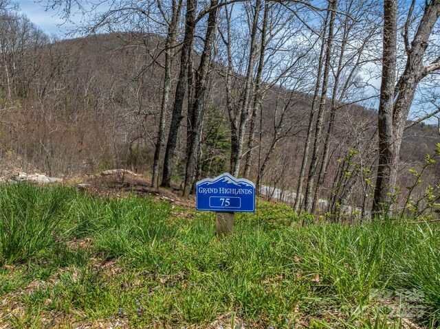 370 Autumn Ridge Ln Unit 75, Hendersonville, NC 28792