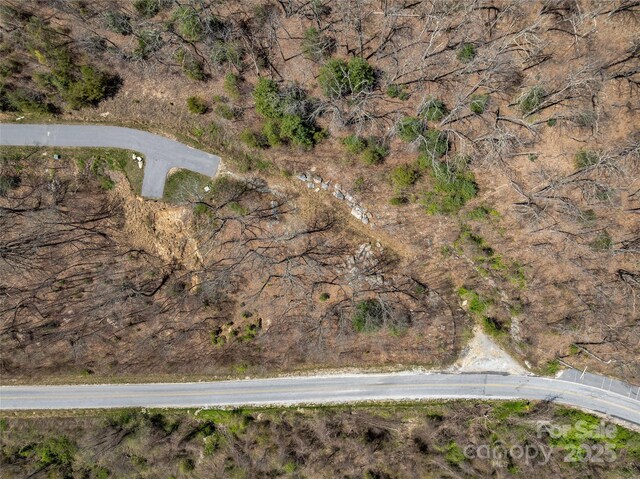 370 Autumn Ridge Ln Unit 75, Hendersonville, NC 28792