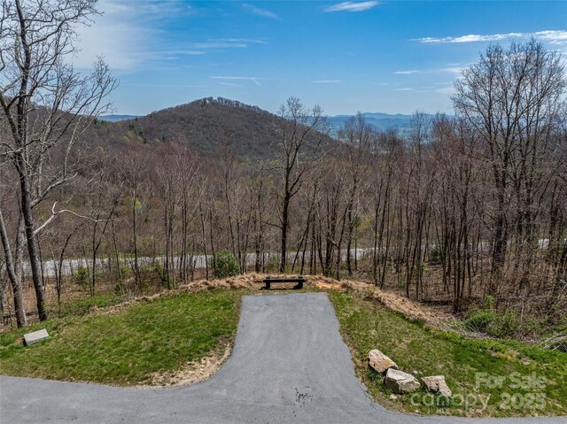 370 Autumn Ridge Ln Unit 75, Hendersonville, NC 28792