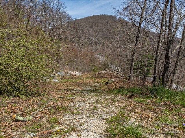 370 Autumn Ridge Ln Unit 75, Hendersonville, NC 28792