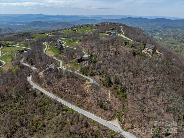 370 Autumn Ridge Ln Unit 75, Hendersonville, NC 28792