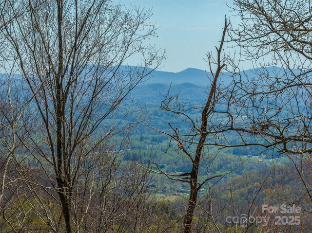 370 Autumn Ridge Ln Unit 75, Hendersonville, NC 28792
