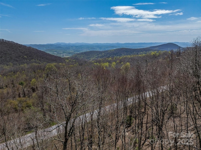 370 Autumn Ridge Ln Unit 75, Hendersonville, NC 28792
