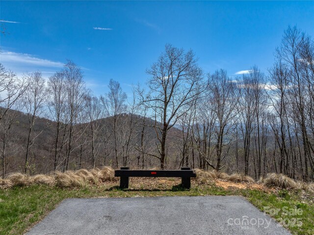 370 Autumn Ridge Ln Unit 75, Hendersonville, NC 28792