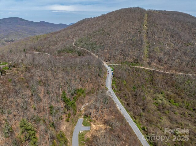 370 Autumn Ridge Ln Unit 75, Hendersonville, NC 28792