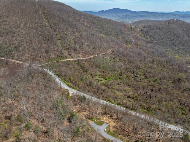 370 Autumn Ridge Ln Unit 75, Hendersonville, NC 28792