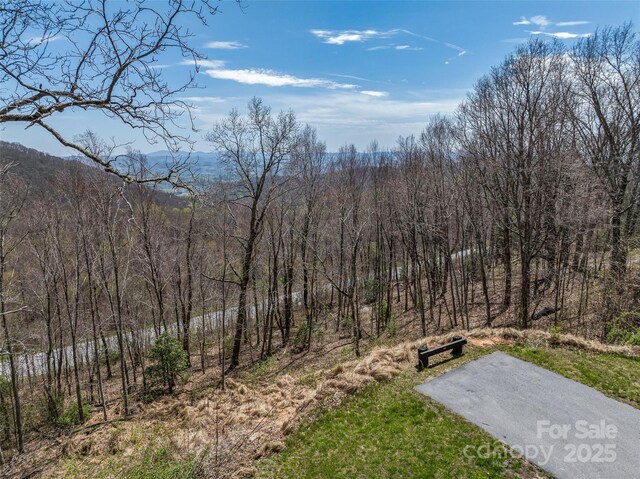 370 Autumn Ridge Ln Unit 75, Hendersonville, NC 28792