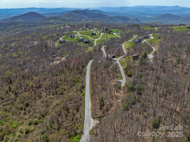370 Autumn Ridge Ln Unit 75, Hendersonville, NC 28792