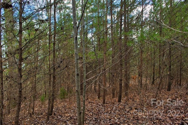 0 N Dakota Dr Unit 343, Rutherfordton NC, 28139 land for sale