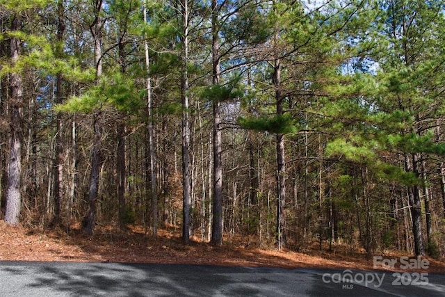 Listing photo 2 for 0 Bitterroot Cir Unit 224, Rutherfordton NC 28139