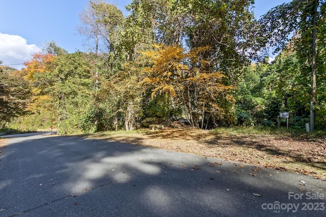 Listing photo 3 for LOT1B Waterside Dr Unit 1B, Lake Lure NC 28746