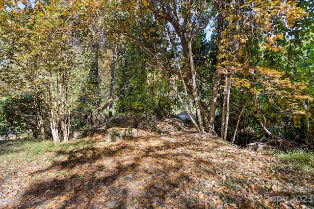 LOT1B Waterside Dr Unit 1B, Lake Lure, NC 28746 - photo 4