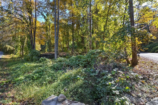 LOT1B Waterside Dr Unit 1B, Lake Lure, NC 28746 - photo 5