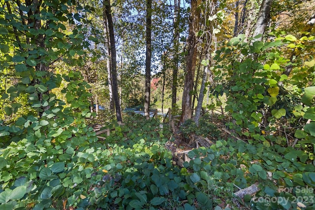LOT1B Waterside Dr Unit 1B, Lake Lure, NC 28746 - photo 6