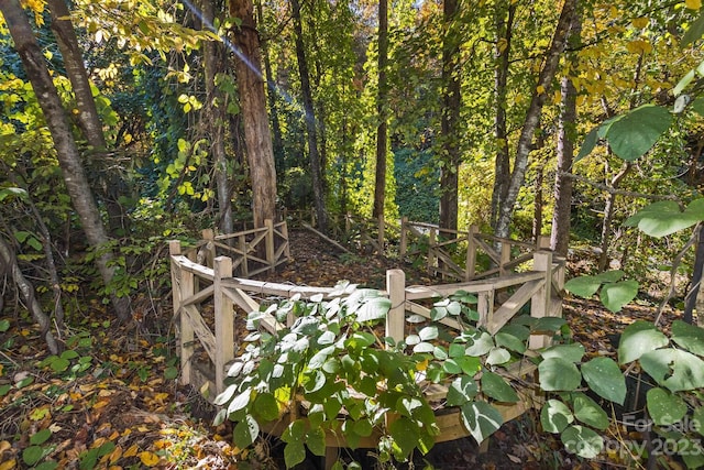 LOT1B Waterside Dr Unit 1B, Lake Lure, NC 28746 - photo 8
