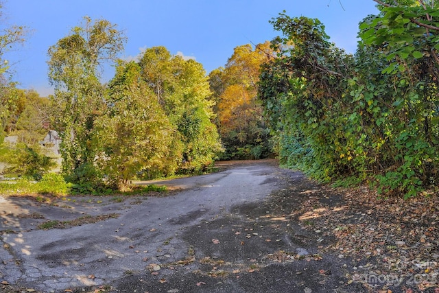 LOT1B Waterside Dr Unit 1B, Lake Lure, NC 28746 - photo 9