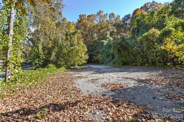 LOT1B Waterside Dr Unit 1B, Lake Lure, NC 28746 - photo 10