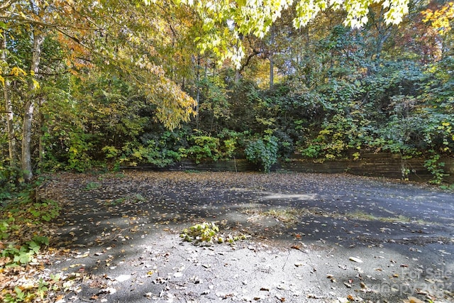 LOT1B Waterside Dr Unit 1B, Lake Lure, NC 28746 - photo 11