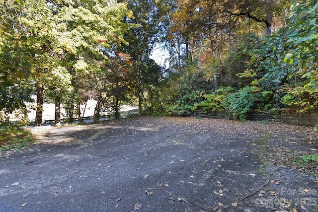 LOT1B Waterside Dr Unit 1B, Lake Lure, NC 28746 - photo 12