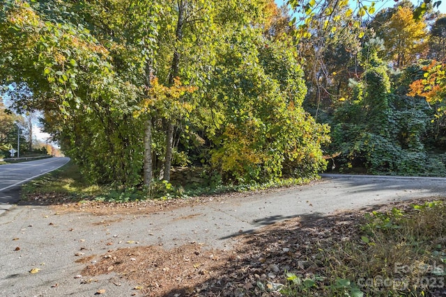 LOT1B Waterside Dr Unit 1B, Lake Lure, NC 28746 - photo 13