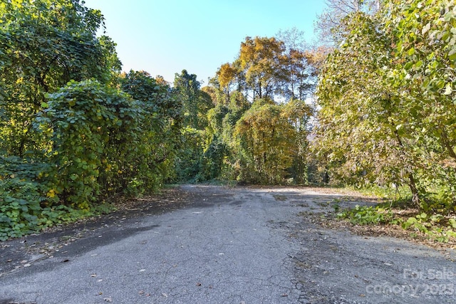 LOT1B Waterside Dr Unit 1B, Lake Lure, NC 28746 - photo 14