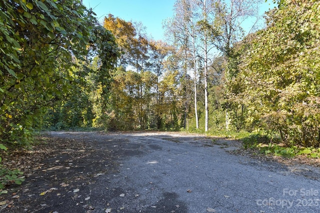 LOT1B Waterside Dr Unit 1B, Lake Lure, NC 28746 - photo 15