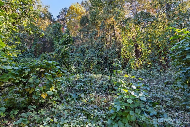LOT1B Waterside Dr Unit 1B, Lake Lure, NC 28746 - photo 17