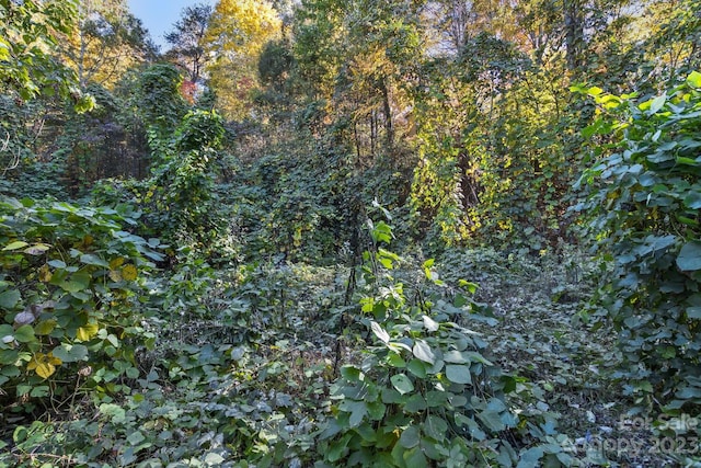 LOT1B Waterside Dr Unit 1B, Lake Lure, NC 28746 - photo 18