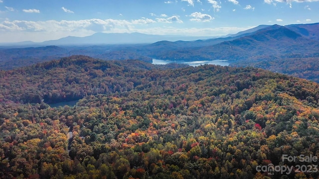 LOT1B Waterside Dr Unit 1B, Lake Lure, NC 28746 - photo 25