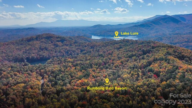 LOT1B Waterside Dr Unit 1B, Lake Lure, NC 28746 - photo 26