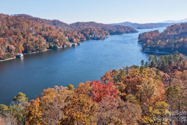 LOT1B Waterside Dr Unit 1B, Lake Lure, NC 28746 - photo 27