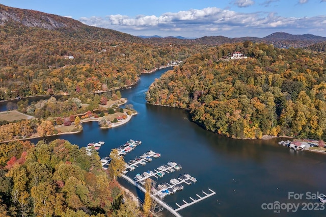 LOT1B Waterside Dr Unit 1B, Lake Lure, NC 28746 - photo 28