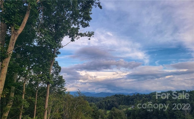 Listing photo 2 for 141 Sunrise Dr Unit 14, Mars Hill NC 28754