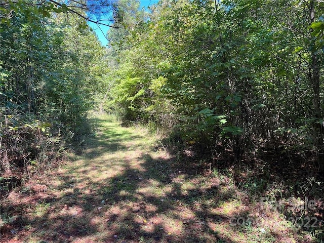 0 Pearidge Rd Unit 6, Bostic NC, 28018 land for sale