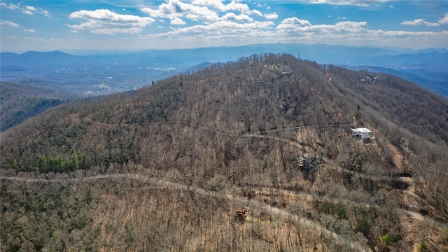 36 Cary Ln, Asheville NC, 28804 land for sale