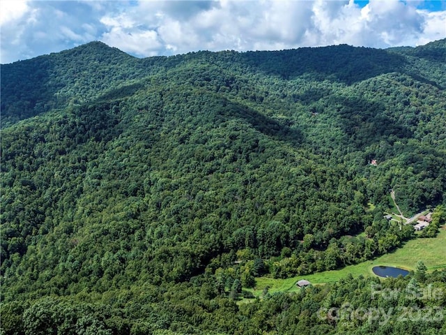 99999 Moody Cove Rd, Weaverville NC, 28787 land for sale