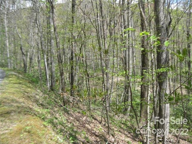 Listing photo 2 for 23 Wood Haven Ln Unit 113, Black Mountain NC 28711