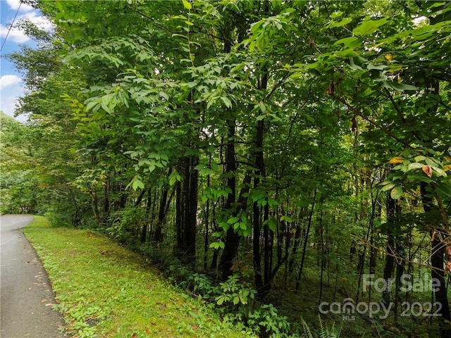 Listing photo 3 for LOT28 Jefferson Ln, Waynesville NC 28786