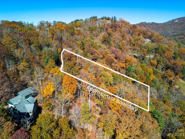 000 Vance Gap Rd, Asheville NC, 28804 land for sale