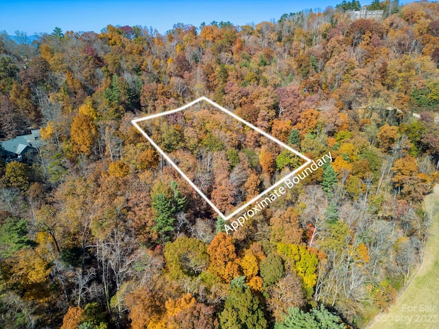 Listing photo 2 for 000 Vance Gap Rd, Asheville NC 28804