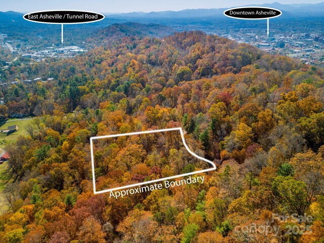 000 Vance Gap Rd, Asheville, NC 28804 - photo 1