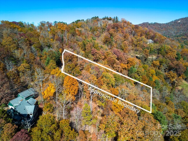000 Vance Gap Rd, Asheville, NC 28804 - photo 2
