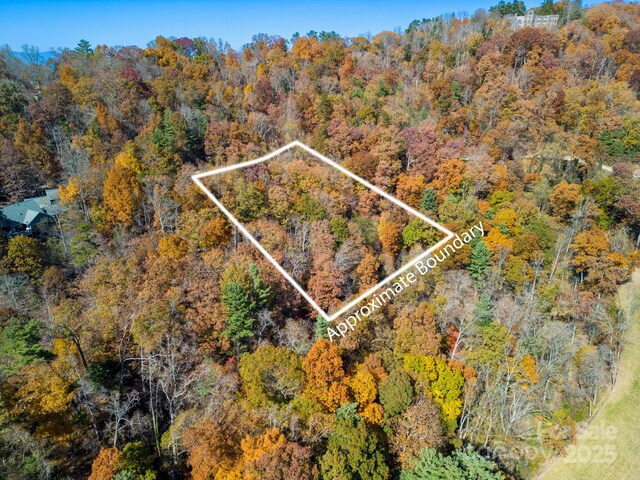 000 Vance Gap Rd, Asheville, NC 28804 - photo 3
