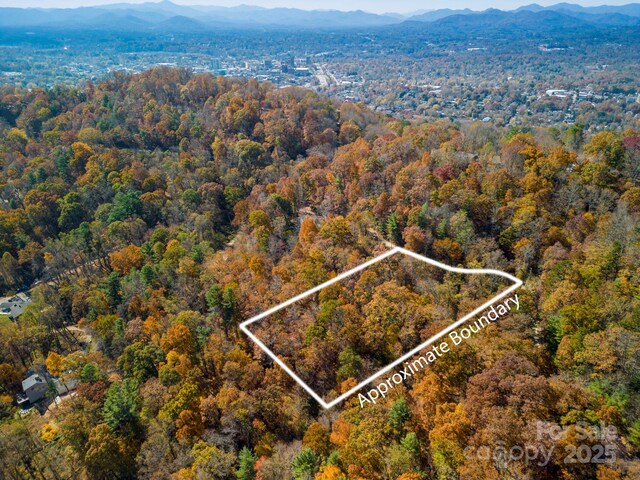 000 Vance Gap Rd, Asheville, NC 28804 - photo 4