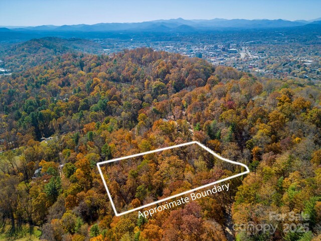 000 Vance Gap Rd, Asheville, NC 28804 - photo 5