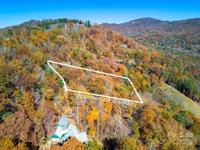 000 Vance Gap Rd, Asheville, NC 28804 - photo 8