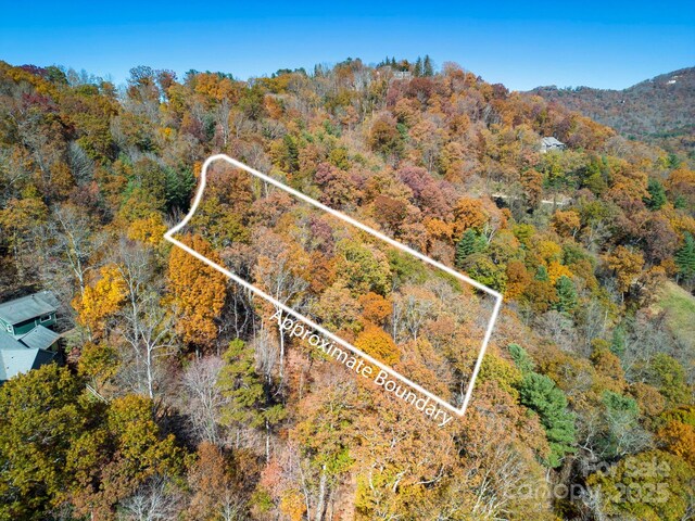 000 Vance Gap Rd, Asheville, NC 28804 - photo 9
