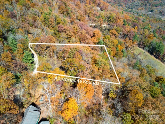 000 Vance Gap Rd, Asheville, NC 28804 - photo 10