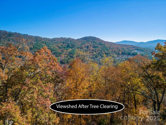 000 Vance Gap Rd, Asheville, NC 28804 - photo 11